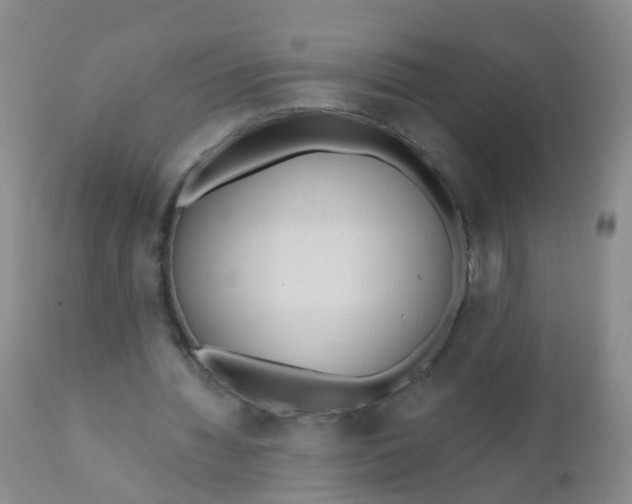 X0000110960436200907022224