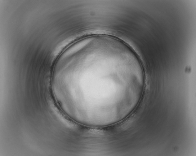 X0000110960437200907022224