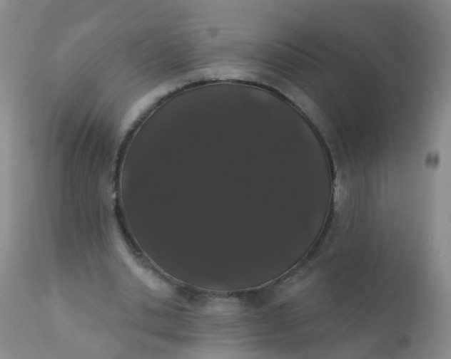 X0000110960438200907022224