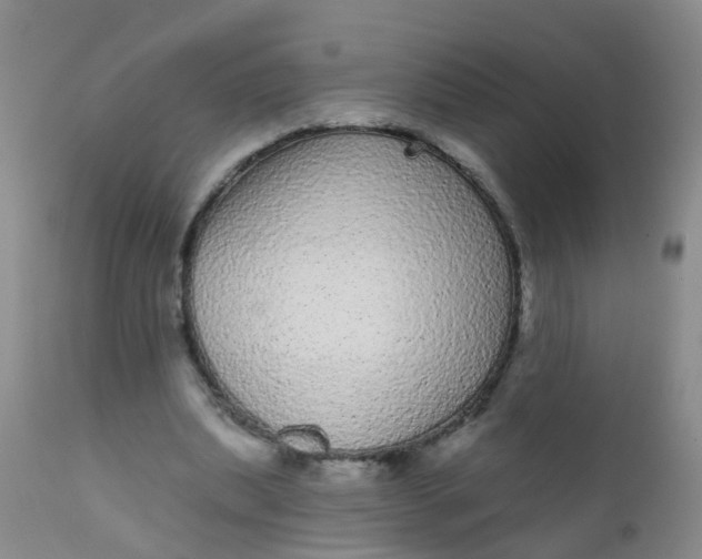 X0000110960439200907022224