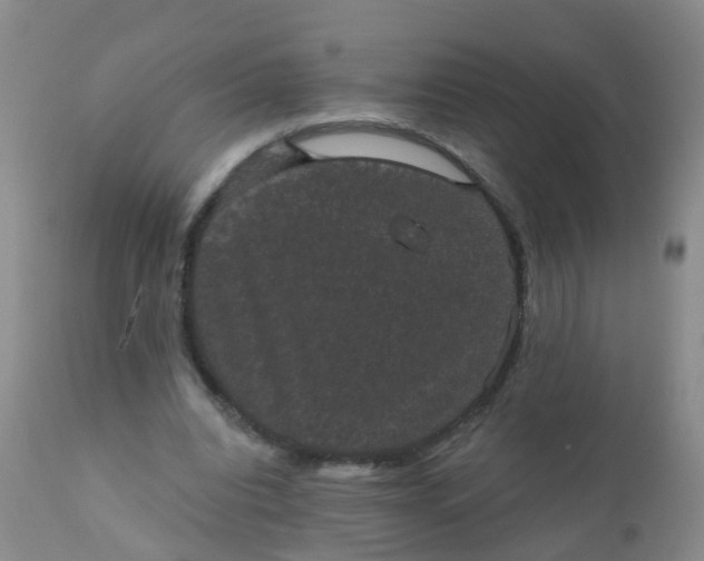 X0000110960440200907022224