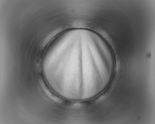 X0000110960441200907022224