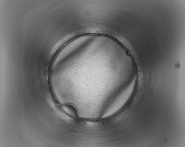 X0000110960442200907022224