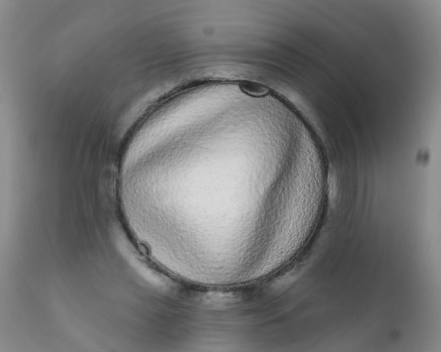 X0000110960445200907022224