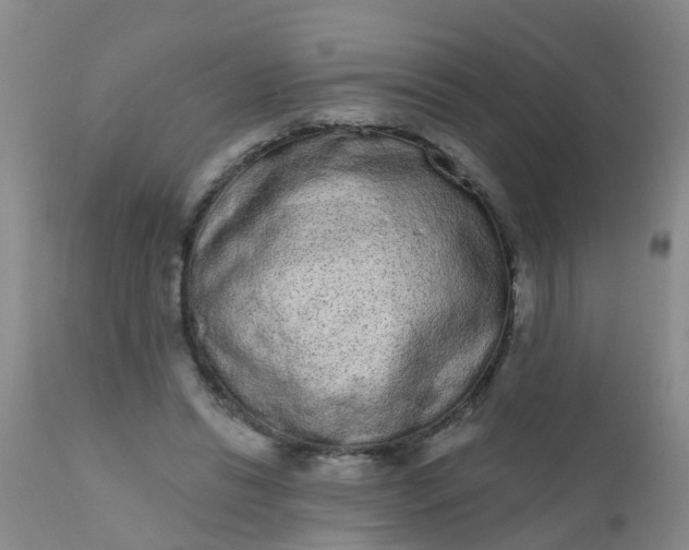 X0000110960446200907022224