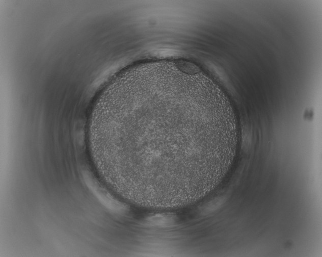 X0000110960447200907022224