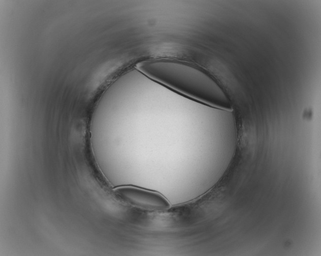 X0000110960448200907022224