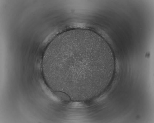 X0000110960449200907022224