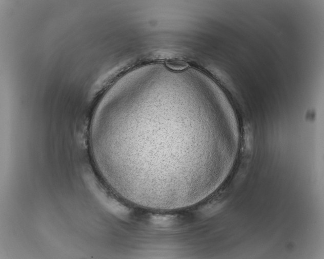 X0000110960450200907022224