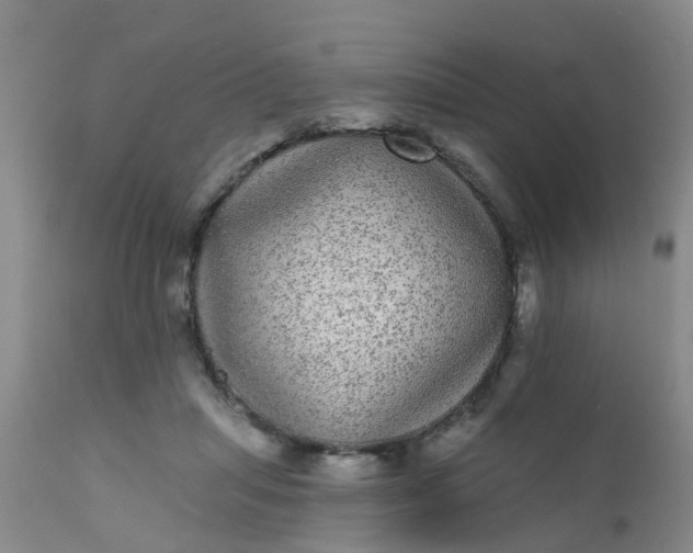 X0000110960455200907022225