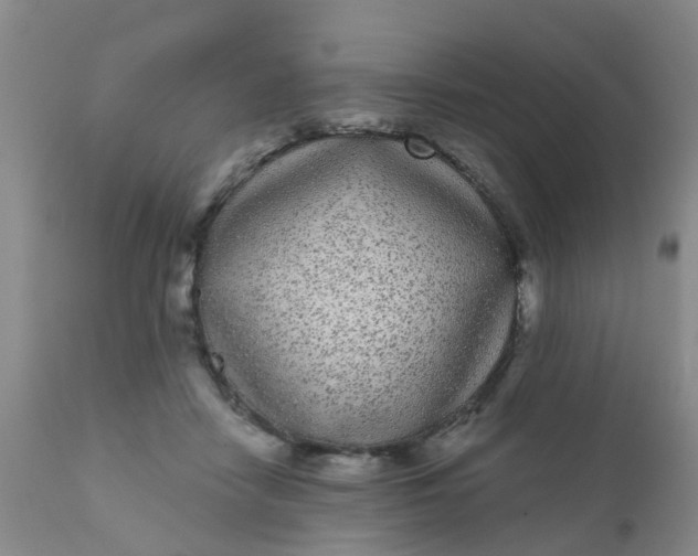 X0000110960458200907022225