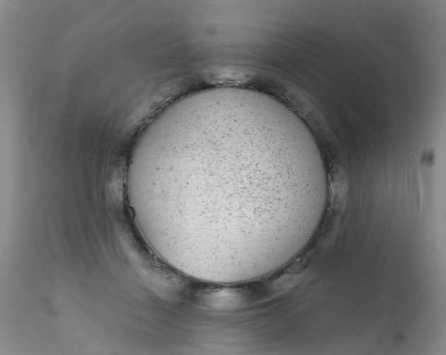 X0000110960460200907022225