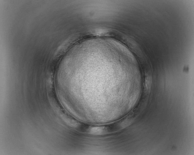 X0000110960461200907022225