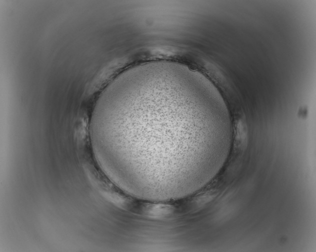 X0000110960463200907022225