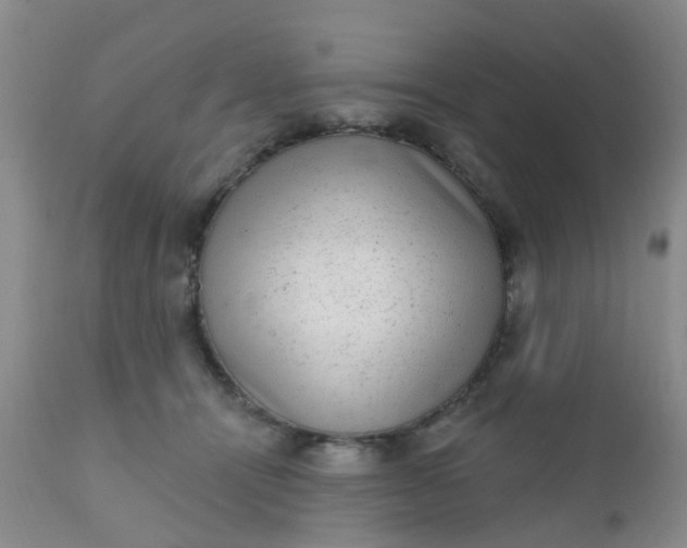 X0000110960464200907022225