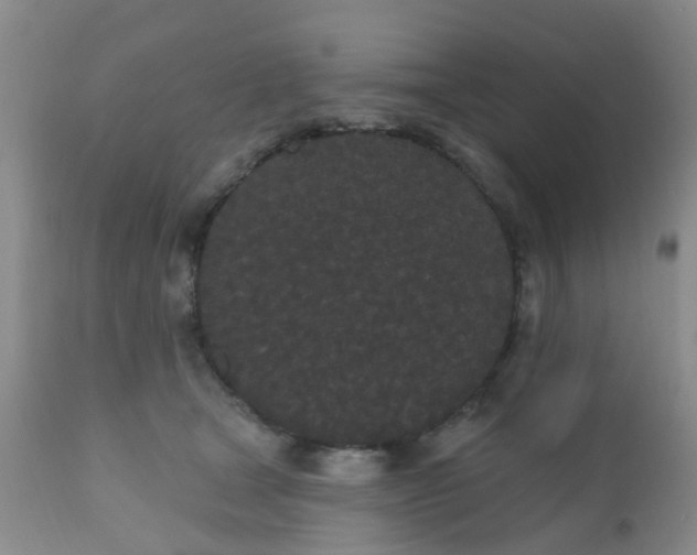 X0000110960465200907022225