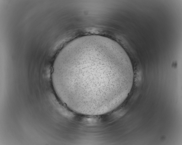 X0000110960466200907022225