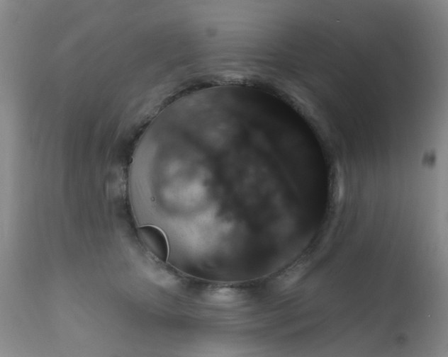 X0000110960467200907022225