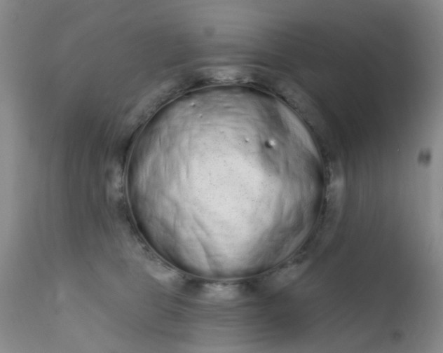 X0000110960469200907022225