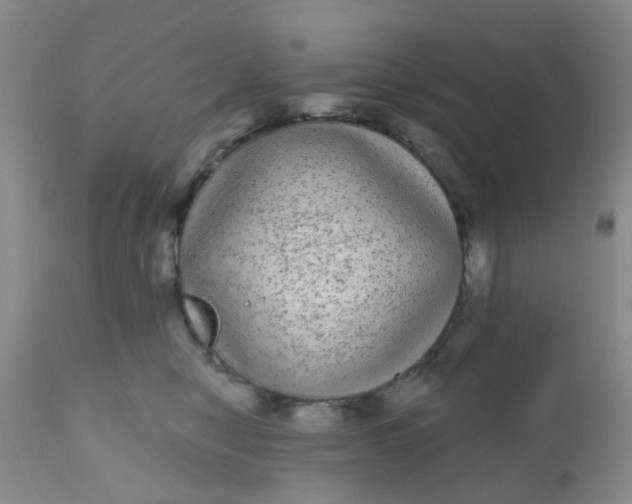 X0000110960470200907022225