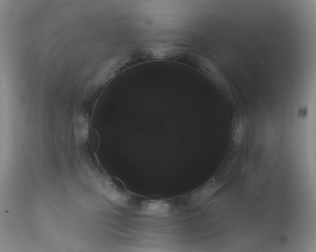 X0000110960471200907022225