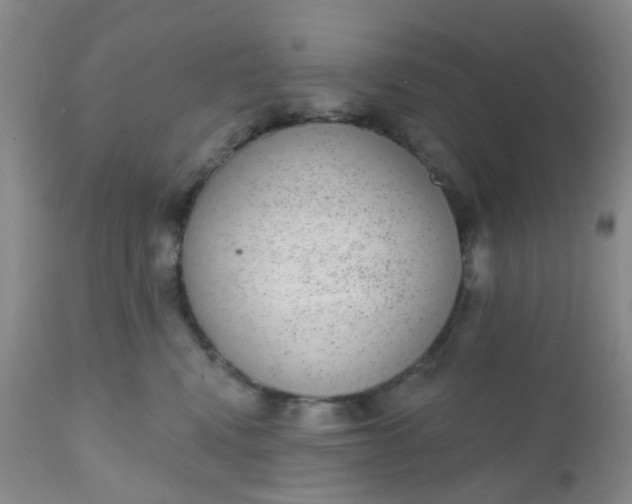 X0000110960472200907022225