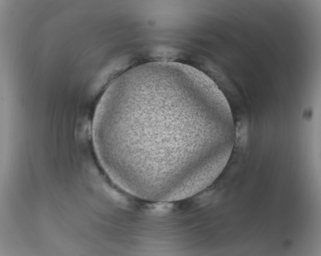 X0000110960474200907022225