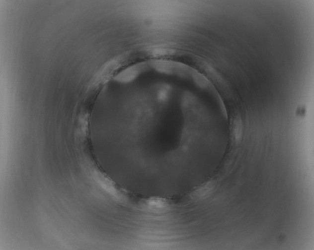 X0000110960475200907022225