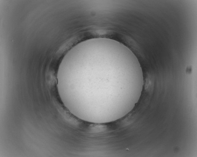 X0000110960476200907022225