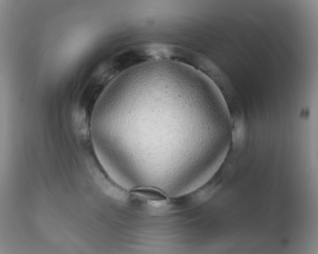 X0000110960477200907022225