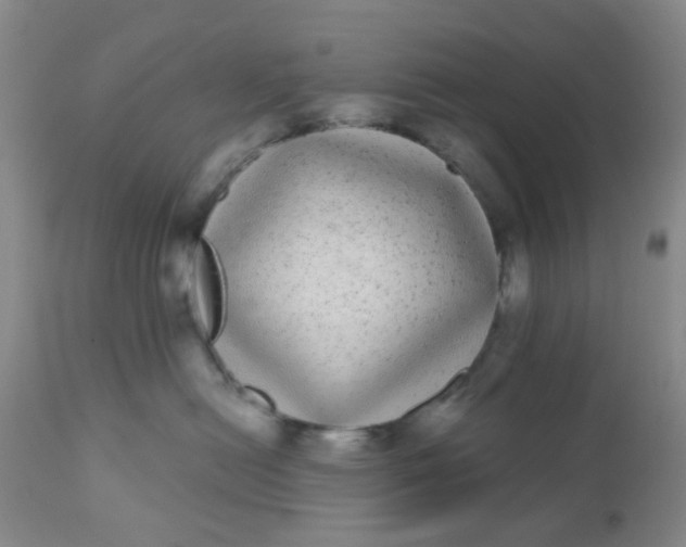 X0000110960478200907022225