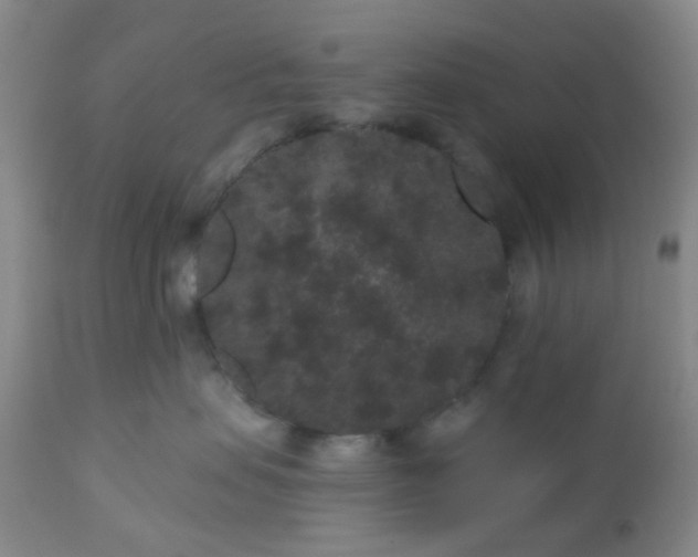 X0000110960479200907022225