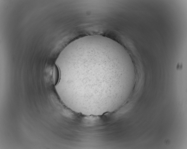 X0000110960480200907022225