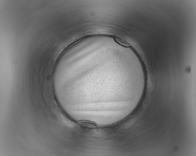 X0000110960481200907022224