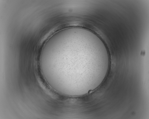 X0000110960482200907022224