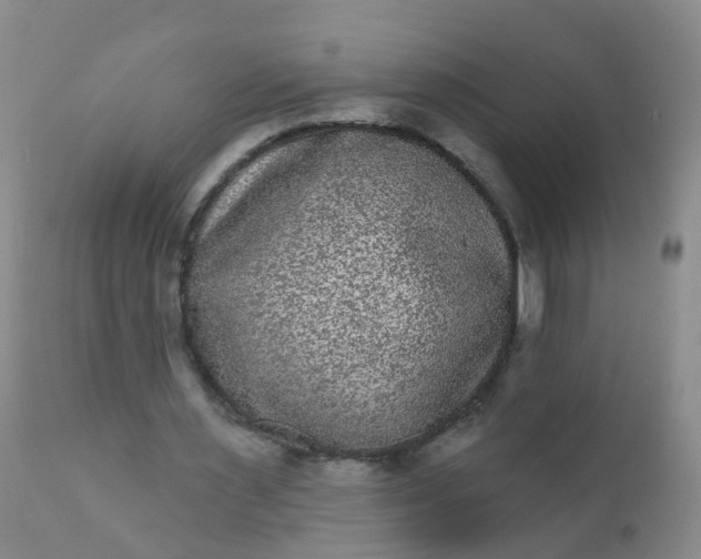 X0000110960483200907022224