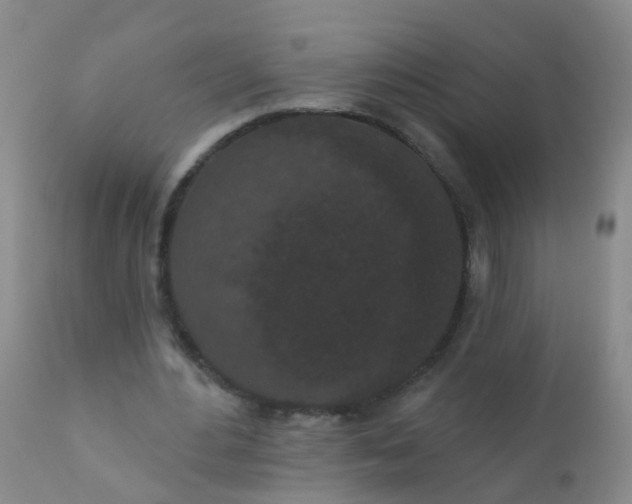 X0000110960484200907022224