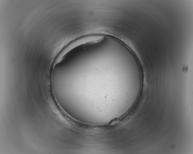 X0000110960485200907022224