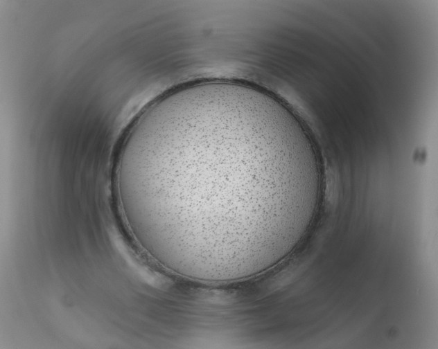 X0000110960486200907022224