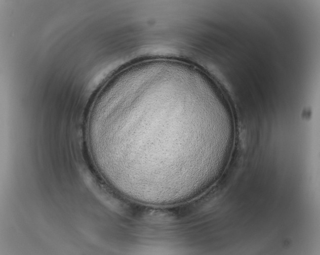 X0000110960487200907022224