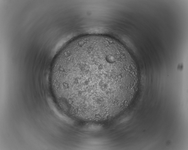 X0000110960491200907022224