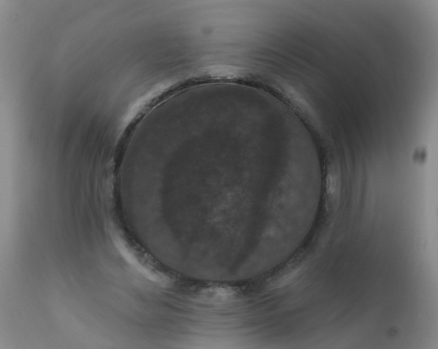 X0000110960492200907022224