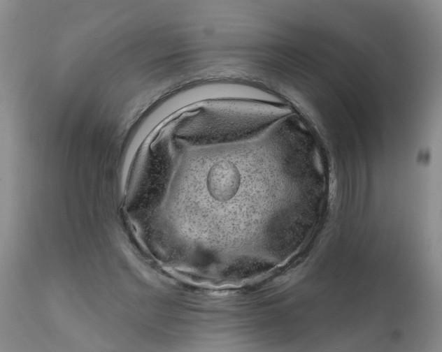 X0000110960493200907022224