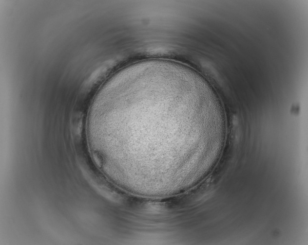 X0000110960495200907022224