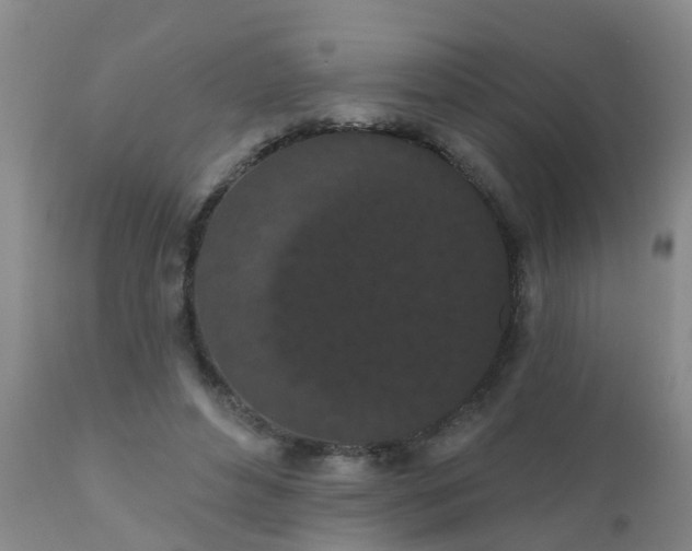 X0000110960496200907022224