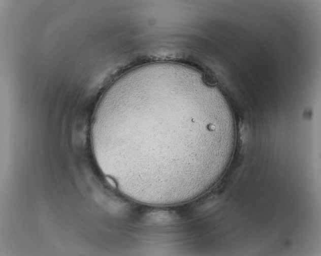 X0000110960499200907022224