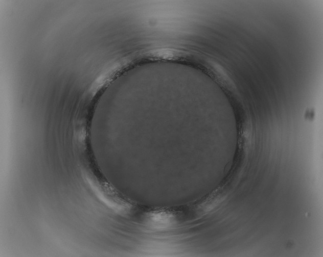 X0000110960500200907022224