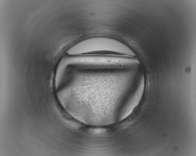 X0000110960501200907022224