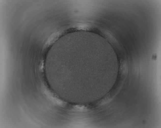 X0000110960502200907022224