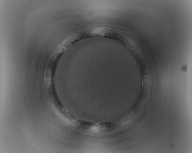 X0000110960504200907022224